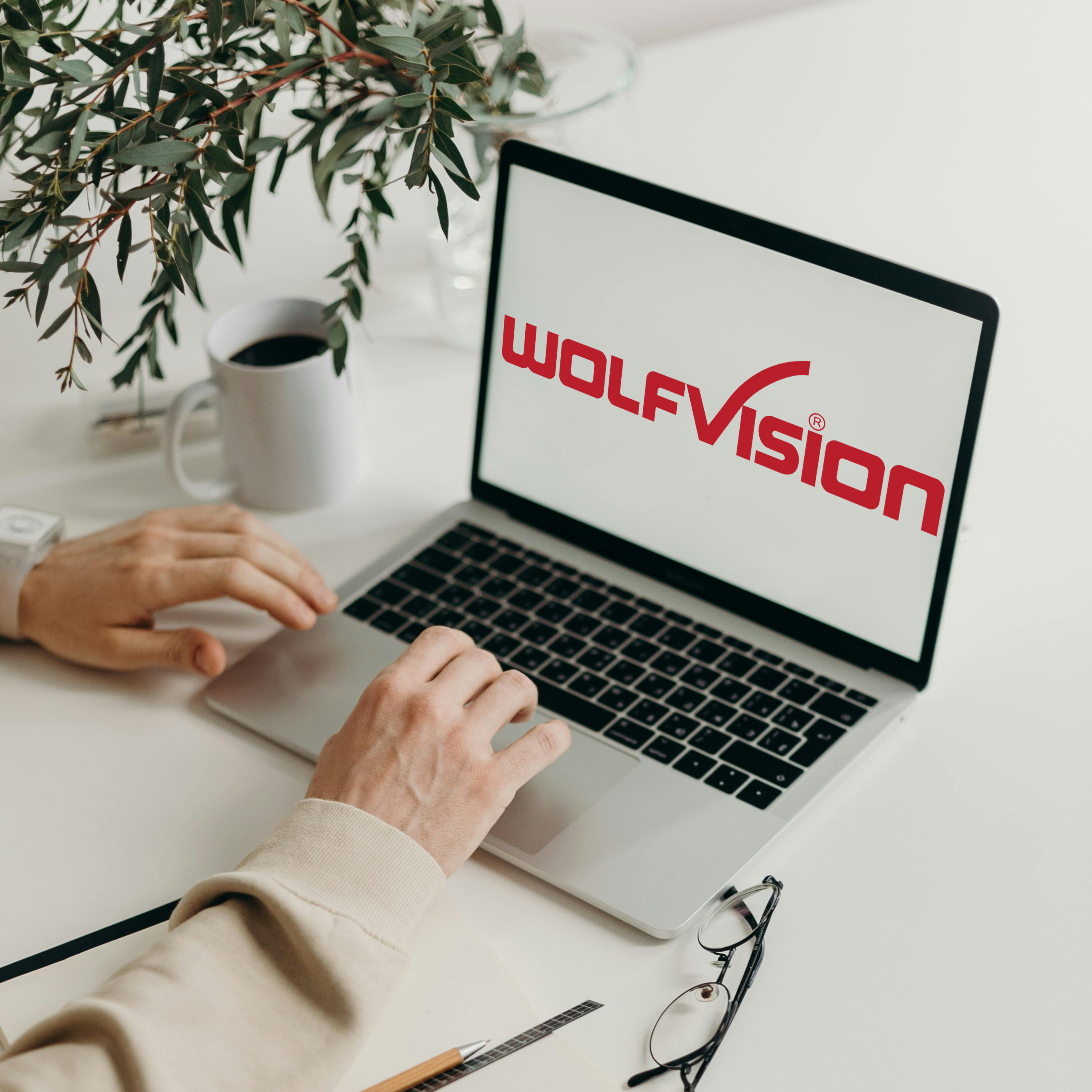 WolfVision